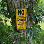 veritcal posted sign on tree